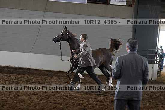 Proof Number 10r12_4365