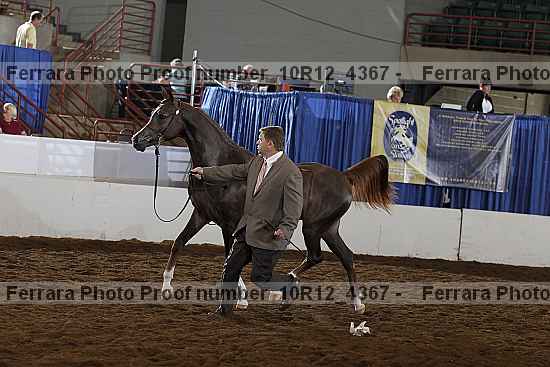 Proof Number 10r12_4367