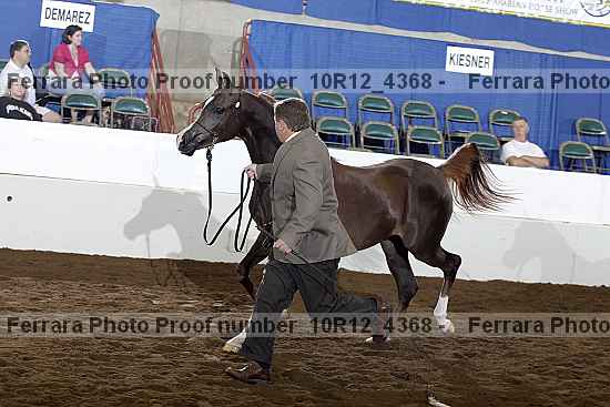 Proof Number 10r12_4368