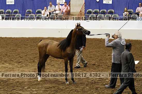 Proof Number 10r12_4382
