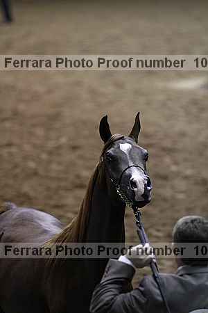 Proof Number 10r12_4386