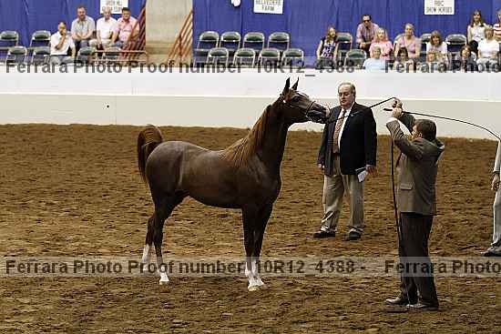 Proof Number 10r12_4388