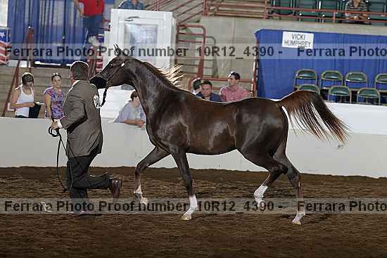 Proof Number 10r12_4390