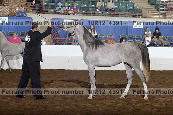 Proof Number 10r12_4391