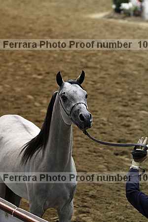 Proof Number 10r12_4396