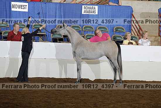 Proof Number 10r12_4397