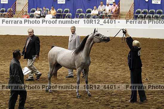 Proof Number 10r12_4401