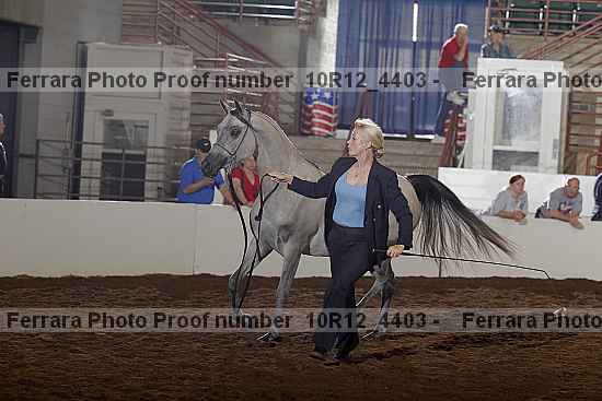 Proof Number 10r12_4403