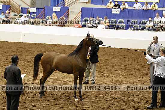 Proof Number 10r12_4404