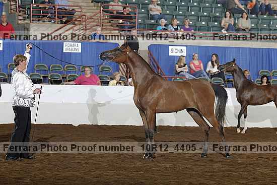 Proof Number 10r12_4405
