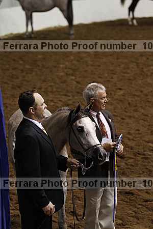 Proof Number 10r12_4412