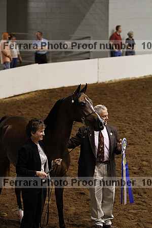 Proof Number 10r12_4420