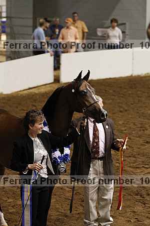 Proof Number 10r12_4431