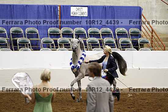 Proof Number 10r12_4439