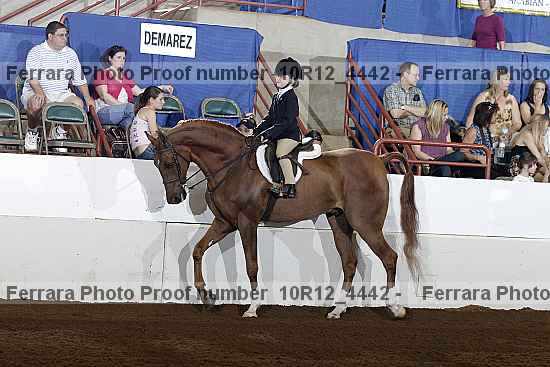 Proof Number 10r12_4442