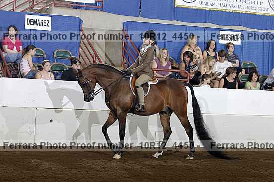 Proof Number 10r12_4450