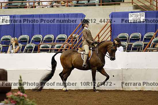 Proof Number 10r12_4472