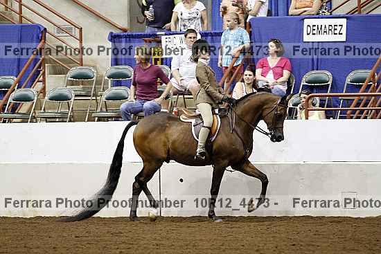Proof Number 10r12_4473
