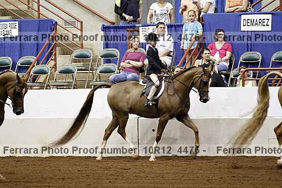 Proof Number 10r12_4476