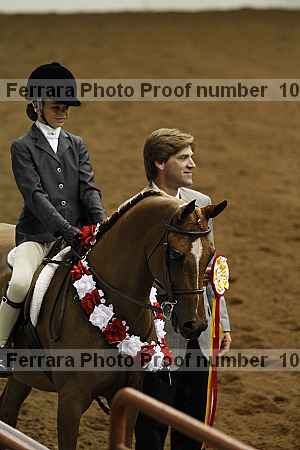 Proof Number 10r12_4479