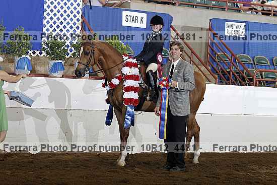 Proof Number 10r12_4481