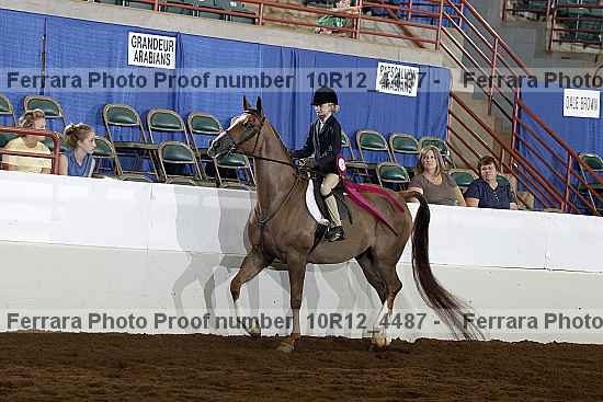 Proof Number 10r12_4487