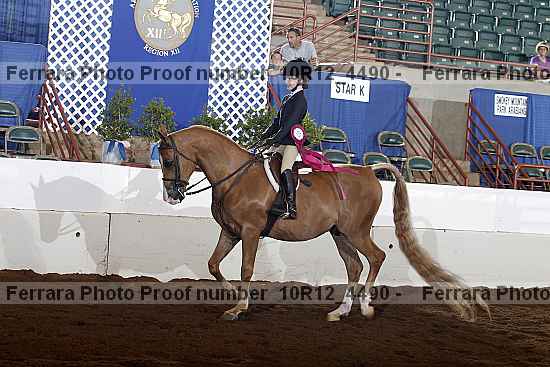 Proof Number 10r12_4490