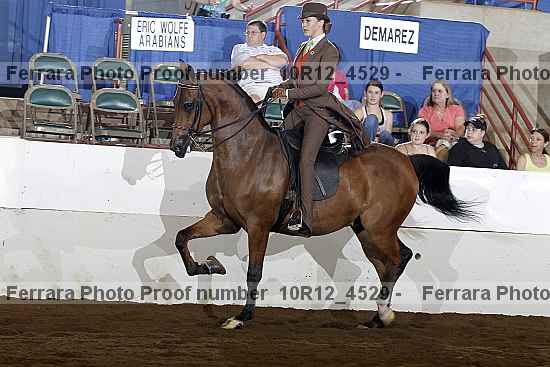 Proof Number 10r12_4529