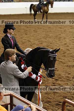 Proof Number 10r12_4532