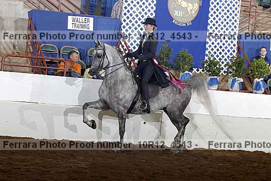 Proof Number 10r12_4543