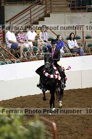 Proof Number 10r12_4549