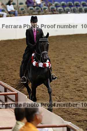 Proof Number 10r12_4552