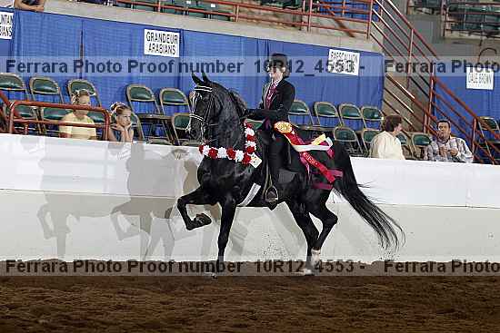 Proof Number 10r12_4553