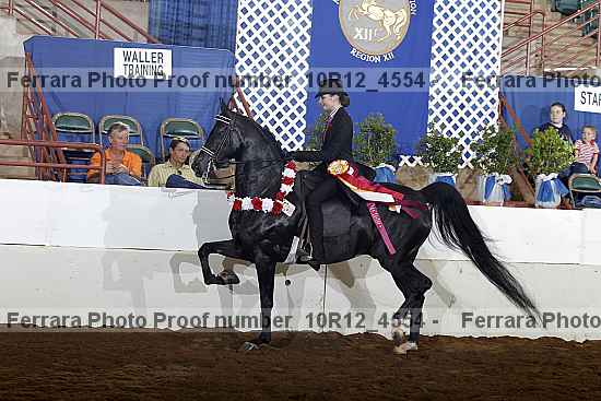 Proof Number 10r12_4554