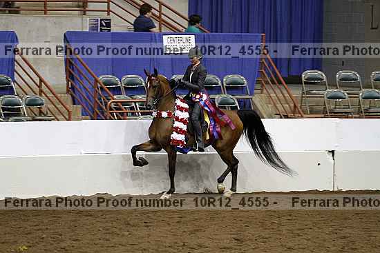 Proof Number 10r12_4555