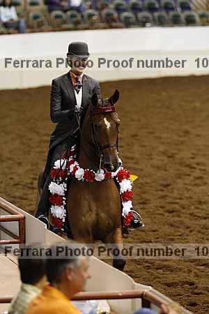 Proof Number 10r12_4558