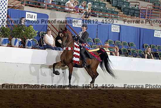 Proof Number 10r12_4559
