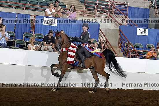 Proof Number 10r12_4561