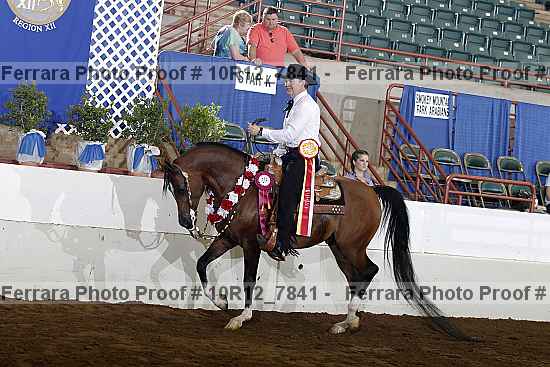Proof Number 10r12_7841