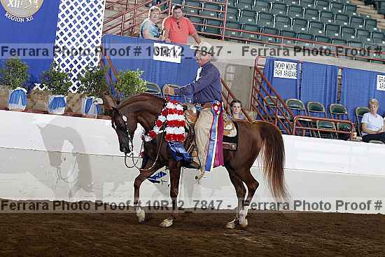Proof Number 10r12_7847