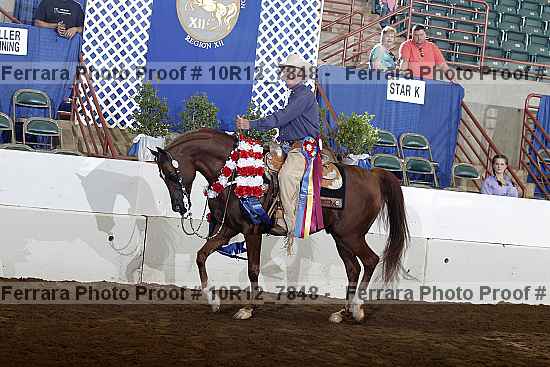 Proof Number 10r12_7848