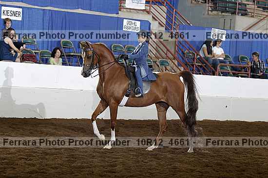Proof Number 10r12_4661