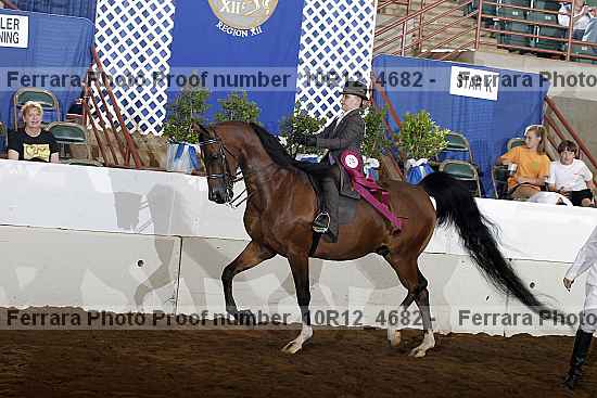 Proof Number 10r12_4682