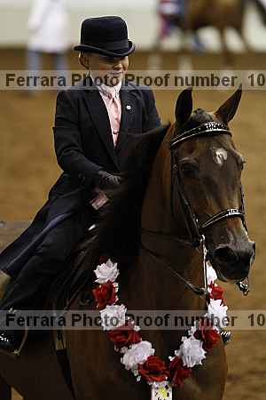 Proof Number 10r12_4686