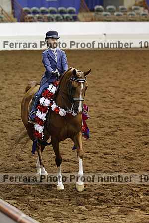 Proof Number 10r12_4689