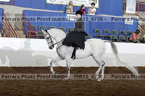 Proof Number 10r12_4738
