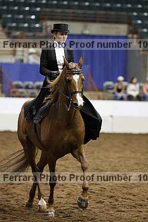 Proof Number 10r12_4742