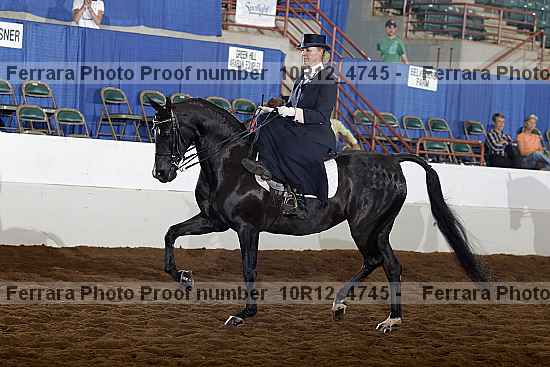 Proof Number 10r12_4745