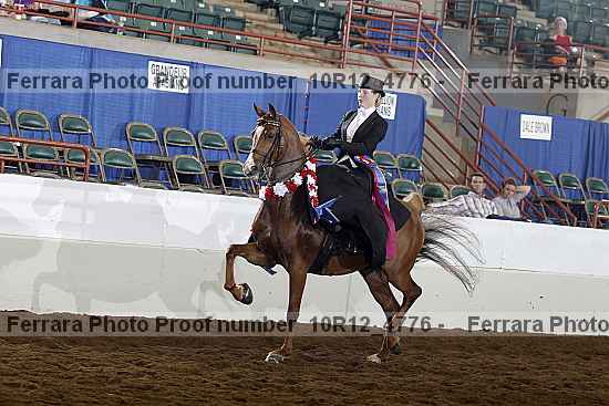 Proof Number 10r12_4776