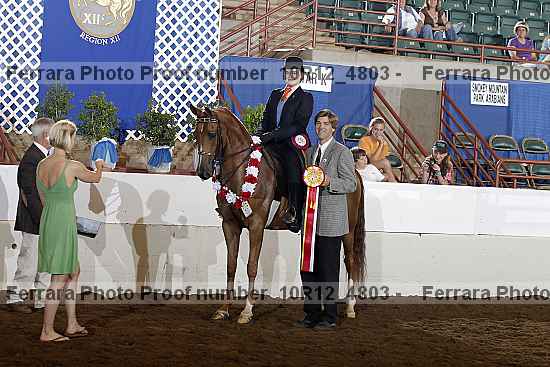 Proof Number 10r12_4803